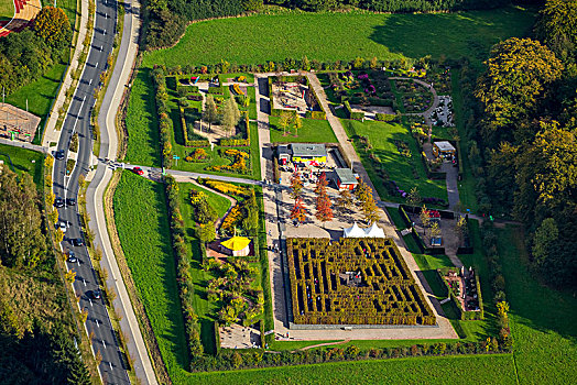 迷宫,花展,树篱,藻厄兰,北莱茵威斯特伐利亚,德国