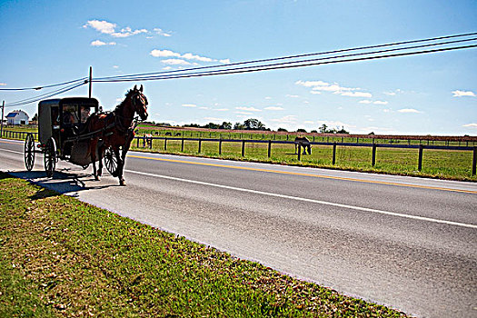 马车,途中,农场,兰卡斯特,宾夕法尼亚,美国