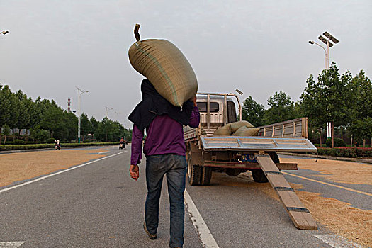 粮食装车