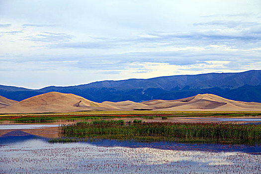 鸣沙山湿地风光