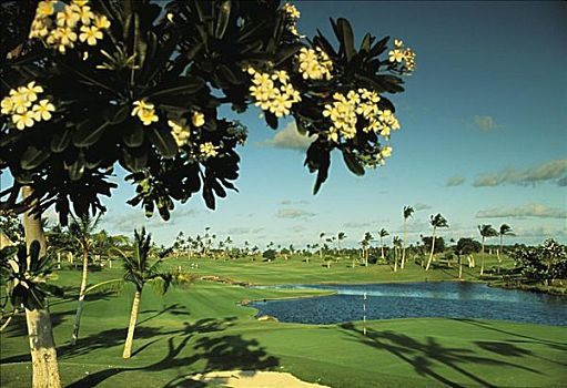 夏威夷,毛伊岛,皇家,高尔夫球场