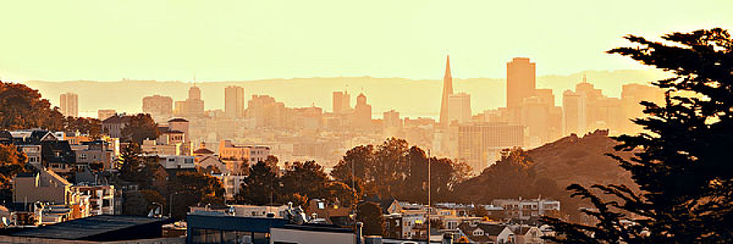 旧金山,市区,建筑,山顶,全景