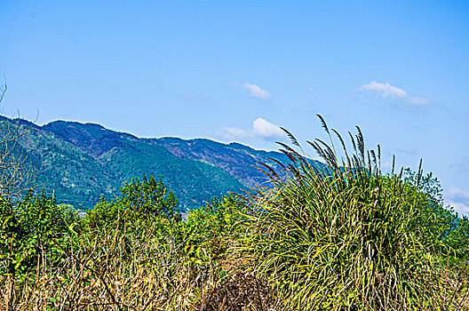 田园风光