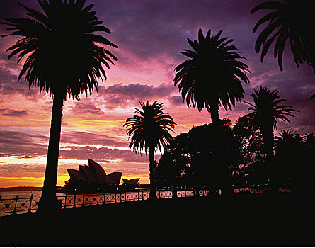 悉尼歌剧院,棕榈树,日落,悉尼,新南威尔士,澳大利亚