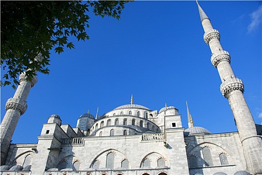 蓝色,清真寺,伊斯坦布尔