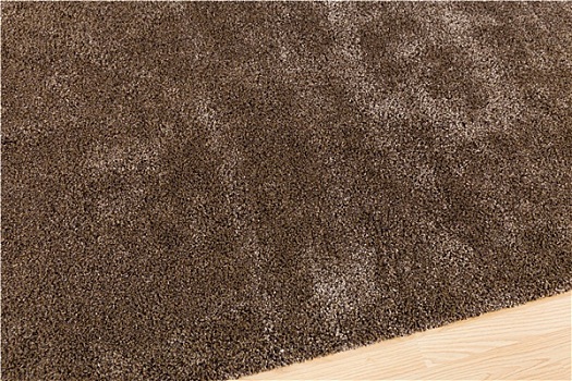 褐色,地毯,客厅