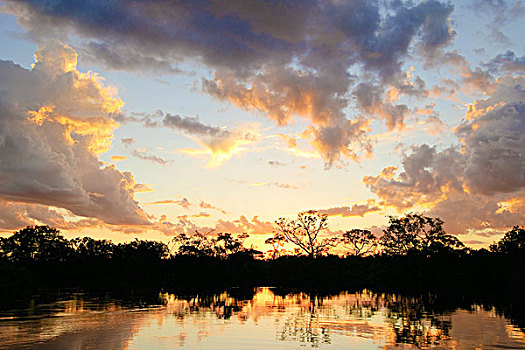 日落,潘塔纳尔,湿地,西南部,巴西,南美