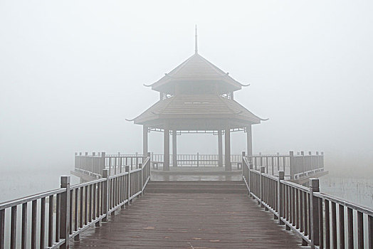 雾中木建筑