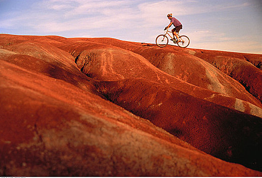 男人,山地车,岩石,风景,安大略省,加拿大