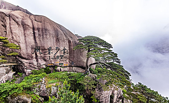 安徽省黄山市黄山风景区迎客松自然景观