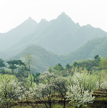 长城