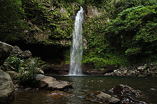 瀑布,国家公园,斐济