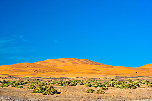 沙丘,却比沙丘,撒哈拉沙漠,南方,摩洛哥,非洲