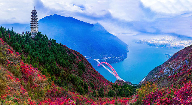 三峡红叶似彩霞