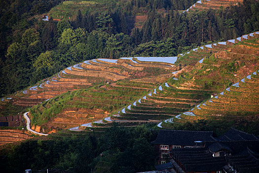 龙脊梯田