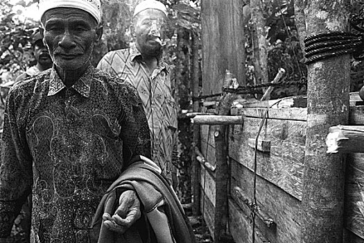 困境,抓住,虎,传统,村民,头部,背影,印度尼西亚,十月,2007年
