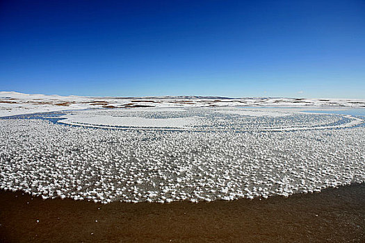 可可西里卓乃湖边封冻的湖面结满了冰花