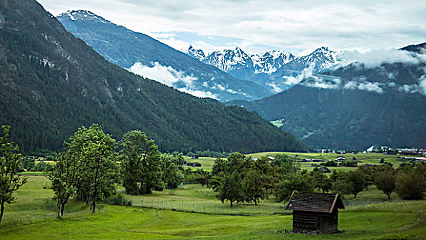 阿尔卑斯山区高山牧场