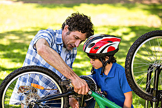 父子,修理,自行车,公园