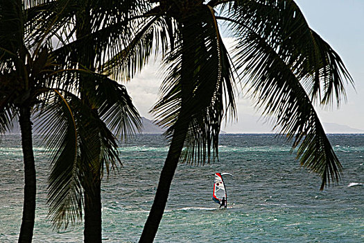风帆冲浪者,海洋,靠近,毛伊岛,美国