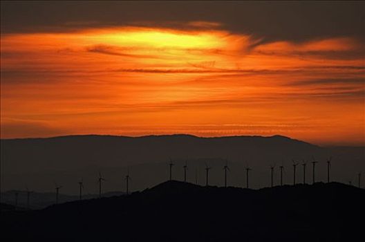 日落,上方,风轮机,农场,纳瓦拉,西班牙