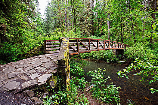 桥,靠近,北方,中间,瀑布,银色瀑布州立公园,俄勒冈,美国