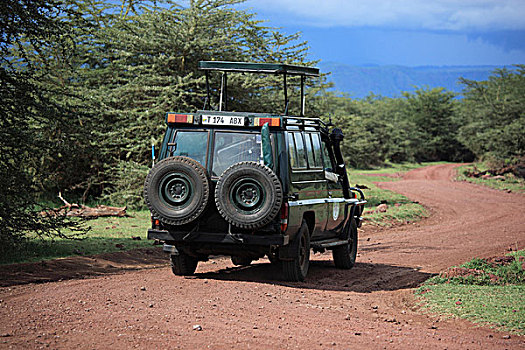 塞伦盖蒂国家公园,坦桑尼亚,非洲