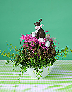复活节巧克力兔,鸟窝,根部,盆栽