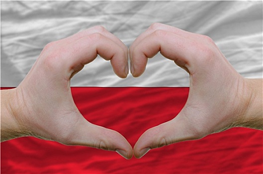 心形,喜爱,手势,展示,上方,旗帜,波兰