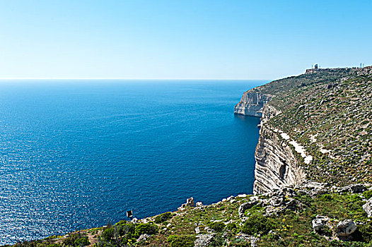 悬崖,南方,西海岸,马耳他,欧洲
