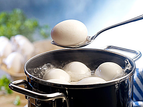 蛋,容器,煮沸,水,一个,勺子