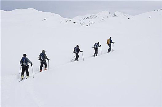 滑雪者,山坡,塞尔扣克山,不列颠哥伦比亚省,加拿大