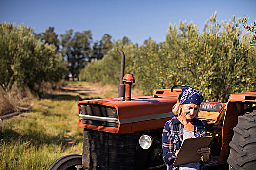 女人,靠着,拖拉机,文字,写字板,橄榄,农场