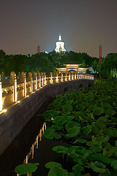 北京北海公园永安桥和白塔夜景
