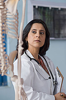 女医生,看,人体骨骼,模型,印度