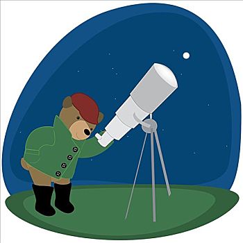 熊,看,月亮,天文,望远镜