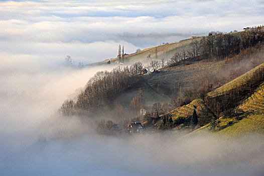 上升,雾,山峦,施蒂里亚,奥地利,欧洲