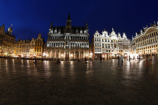 大广场,夜晚,布鲁塞尔,区域,比利时,欧洲