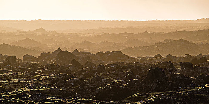 熔岩原,雷克雅奈斯,冰岛,欧洲