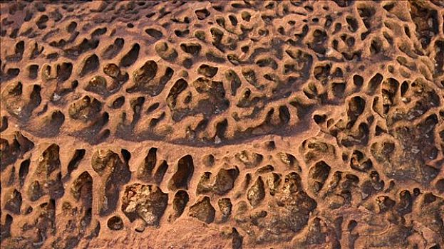 砂岩,纹理,鹰,峡谷,卡巴里国家公园,西澳大利亚,澳大利亚