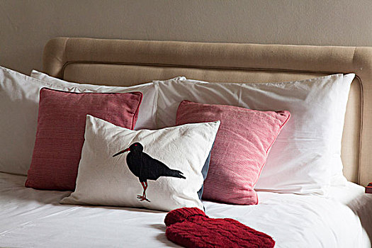 床,红色,垫子,热水袋,蛎鹬,南非,海滨别墅