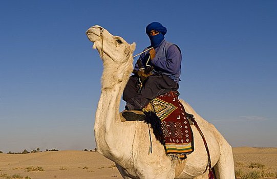 骑骆驼,撒哈拉沙漠,突尼斯,非洲