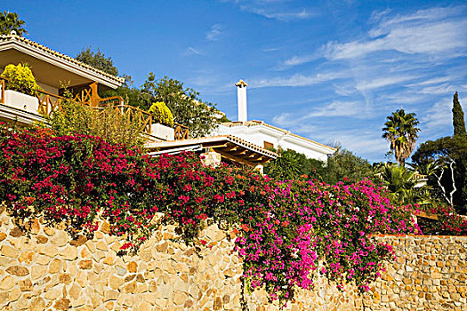 安达卢西亚,西班牙,花,石墙,后面,房子,靠近