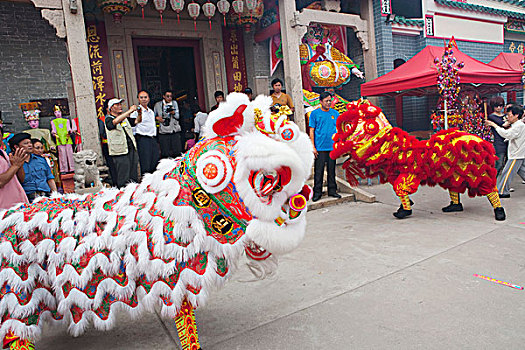 狮子,跳舞,房子,庆贺,节日,香港