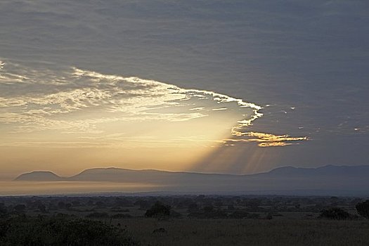 日出,大草原,乌干达,东非,非洲