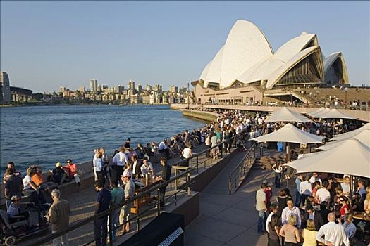 澳大利亚,新南威尔士,悉尼,享受,饮料,歌剧院,酒吧,脚,澳大利亚人,地标