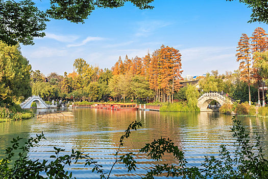 南京市白鹭洲公园园林湖泊风光