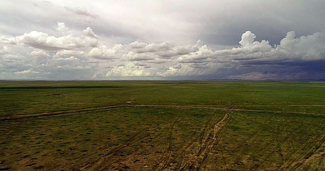 内蒙古,野狼谷草原,真正的风吹草低见牛羊