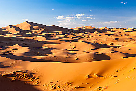 沙丘,晚霞,却比沙丘,摩洛哥