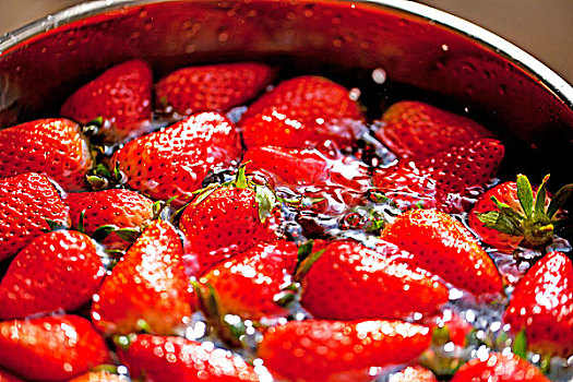 一盆红色新鲜草莓泡在水中